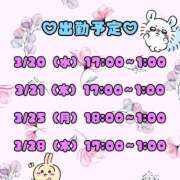 ヒメ日記 2024/03/20 01:23 投稿 りこ おっぱいイッパイ「オパミド千葉店」