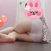 ヒメ日記 2025/03/15 01:01 投稿 うさ デザインプリズム新宿