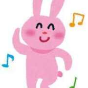 ヒメ日記 2025/05/31 10:09 投稿 うさ デザインプリズム新宿