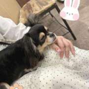 ヒメ日記 2026/02/10 18:19 投稿 うさ デザインプリズム新宿