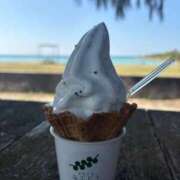 ヒメ日記 2026/02/19 08:49 投稿 うさ デザインプリズム新宿