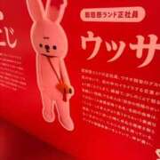 ヒメ日記 2026/02/26 07:09 投稿 うさ デザインプリズム新宿