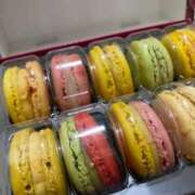 ヒメ日記 2026/03/11 06:19 投稿 うさ デザインプリズム新宿