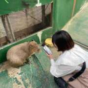 ヒメ日記 2026/04/02 06:19 投稿 うさ デザインプリズム新宿