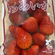 ヒメ日記 2026/04/12 12:21 投稿 うさ デザインプリズム新宿