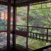 ヒメ日記 2025/11/16 13:03 投稿 うた One More 奥様　錦糸町店