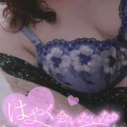 ヒメ日記 2024/12/30 16:09 投稿 ななえ 香川高松ちゃんこ