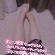 ヒメ日記 2025/01/05 22:09 投稿 ななえ 香川高松ちゃんこ