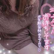 ヒメ日記 2025/01/19 17:29 投稿 ななえ 香川高松ちゃんこ