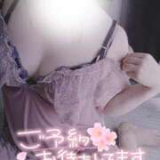 ヒメ日記 2025/10/29 19:39 投稿 ななえ 香川高松ちゃんこ