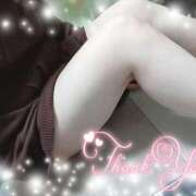 ヒメ日記 2025/11/13 08:59 投稿 ななえ 香川高松ちゃんこ