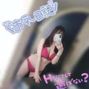 ヒメ日記 2025/03/13 18:02 投稿 しずく姫 I know すい～つ 生クリームpie