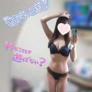 ヒメ日記 2025/06/09 16:09 投稿 しずく姫 I know すい～つ 生クリームpie