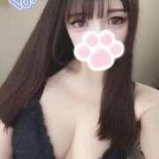 ヒメ日記 2025/09/08 18:07 投稿 しずく姫 I know すい～つ 生クリームpie