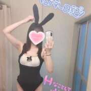 ヒメ日記 2025/12/11 16:25 投稿 しずく姫 I know すい～つ 生クリームpie