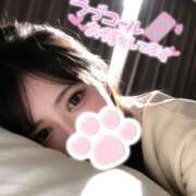 ヒメ日記 2026/02/04 18:48 投稿 しずく姫 I know すい～つ 生クリームpie