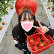 ヒメ日記 2026/04/08 00:01 投稿 しずく姫 I know すい～つ 生クリームpie