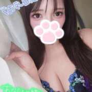 ヒメ日記 2026/06/11 18:03 投稿 しずく姫 I know すい～つ 生クリームpie