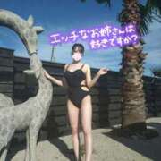 ヒメ日記 2026/07/10 15:02 投稿 しずく姫 I know すい～つ 生クリームpie