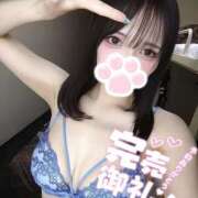 ヒメ日記 2026/07/14 01:02 投稿 しずく姫 I know すい～つ 生クリームpie