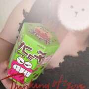 ヒメ日記 2025/02/24 17:16 投稿 ほのか セクシーキャット 小田原店