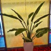 ヒメ日記 2025/07/10 14:01 投稿 えみり 諭吉専科