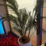 ヒメ日記 2025/08/07 12:02 投稿 えみり 諭吉専科