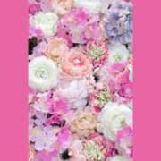 ヒメ日記 2025/09/26 08:24 投稿 えみり 諭吉専科