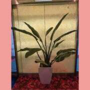 ヒメ日記 2025/09/27 14:39 投稿 えみり 諭吉専科