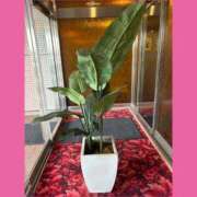 ヒメ日記 2025/09/30 14:45 投稿 えみり 諭吉専科