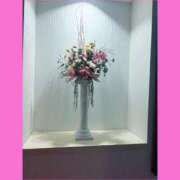 ヒメ日記 2025/10/07 14:26 投稿 えみり 諭吉専科