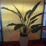 ヒメ日記 2025/11/17 12:52 投稿 えみり 諭吉専科