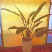 ヒメ日記 2025/11/20 15:54 投稿 えみり 諭吉専科