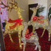 ヒメ日記 2025/12/06 13:38 投稿 えみり 諭吉専科