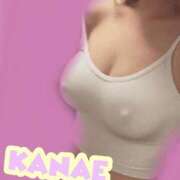 ヒメ日記 2024/12/13 23:51 投稿 かなえ 静岡駅前ちゃんこ