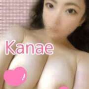 ヒメ日記 2024/12/16 17:48 投稿 かなえ 静岡駅前ちゃんこ