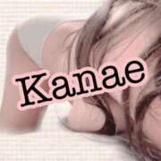 ヒメ日記 2024/12/26 21:18 投稿 かなえ 静岡駅前ちゃんこ