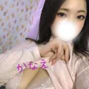 ヒメ日記 2025/05/05 08:48 投稿 かなえ 静岡駅前ちゃんこ