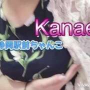 ヒメ日記 2025/05/16 20:08 投稿 かなえ 静岡駅前ちゃんこ