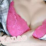 ヒメ日記 2025/07/11 16:58 投稿 かなえ 静岡駅前ちゃんこ