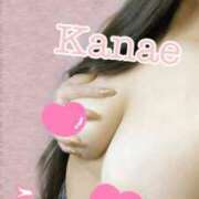 ヒメ日記 2025/07/28 16:48 投稿 かなえ 静岡駅前ちゃんこ