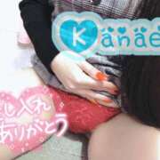 ヒメ日記 2025/11/18 19:19 投稿 かなえ 静岡駅前ちゃんこ