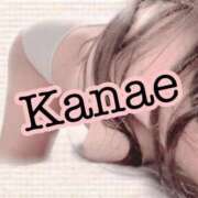 ヒメ日記 2026/04/15 19:31 投稿 かなえ 静岡駅前ちゃんこ