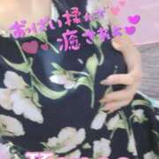 ヒメ日記 2026/05/05 20:48 投稿 かなえ 静岡駅前ちゃんこ