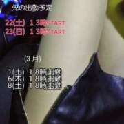 ヒメ日記 2025/02/21 17:38 投稿 白石湊 五十路マダム　和歌山店