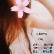 ヒメ日記 2025/02/23 09:16 投稿 白石湊 五十路マダム　和歌山店