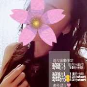 ヒメ日記 2025/03/13 16:34 投稿 白石湊 五十路マダム　和歌山店