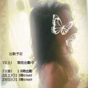 ヒメ日記 2025/03/15 17:26 投稿 白石湊 五十路マダム　和歌山店