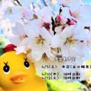 ヒメ日記 2025/03/29 17:26 投稿 白石湊 五十路マダム　和歌山店