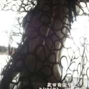 ヒメ日記 2025/05/10 14:44 投稿 白石湊 五十路マダム　和歌山店